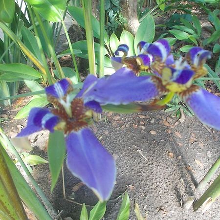 Onca 1024 Villa ตรันโกโซ ภายนอก รูปภาพ