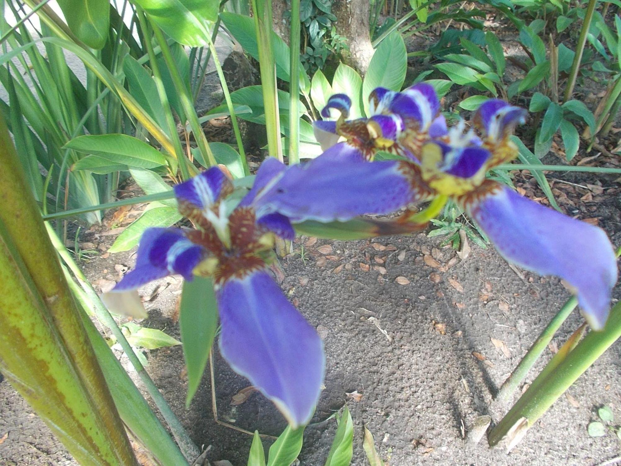 Onca 1024 Villa ตรันโกโซ ภายนอก รูปภาพ
