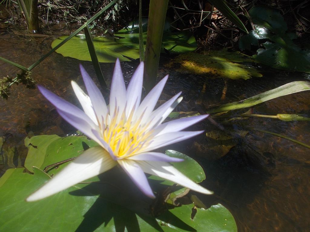 Onca 1024 Villa ตรันโกโซ ภายนอก รูปภาพ