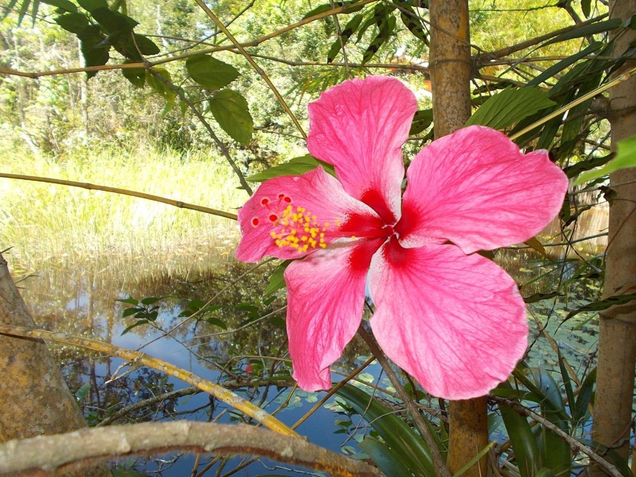 Onca 1024 Villa ตรันโกโซ ภายนอก รูปภาพ